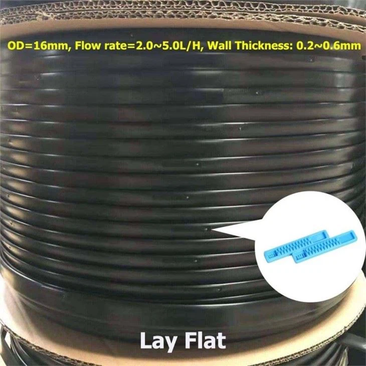 Drip Irrigation For Tomatoes