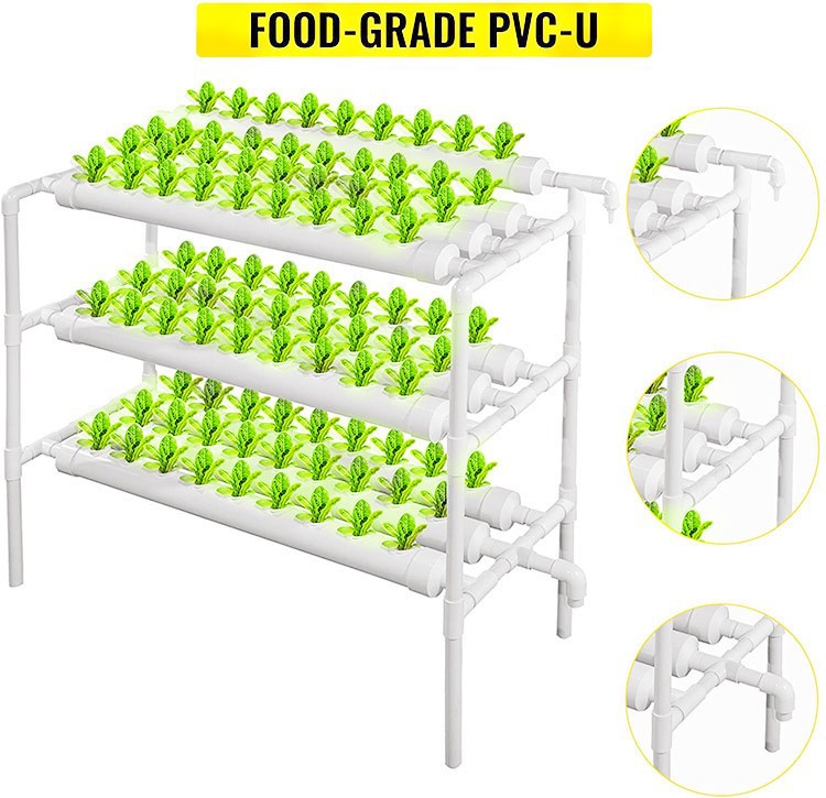 H557dda9a7c3041a4926006953340de42Q H557dda9a7c3041a4926006953340de42Q