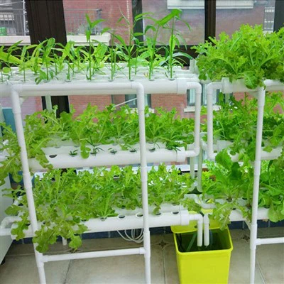 Kit de cultivo hidropónico de 108 sitios para plantas Sistema de cultivo de plantas para jardín con agua