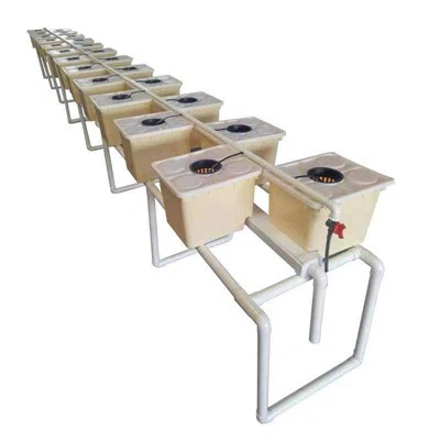 Plantas hidropónicas Dutch Bucket Dutch Buckets Sistema hidropónico Dutch Bucket