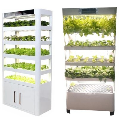 Jardín inteligente interior|Sistema de agricultura vertical hidropónica para el hogar