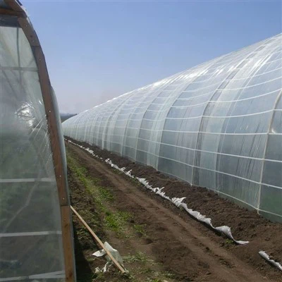 Película plástica para invernadero de 200 micrones resistente a los rayos ultravioleta: cubierta agrícola duradera